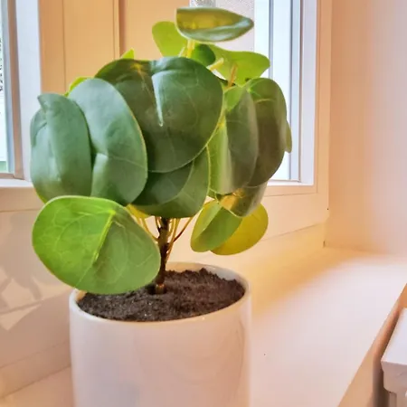 La Buhl Verte - Chic Et Moderne - Calme - Fibre - Relax Bnb Buitenkant foto