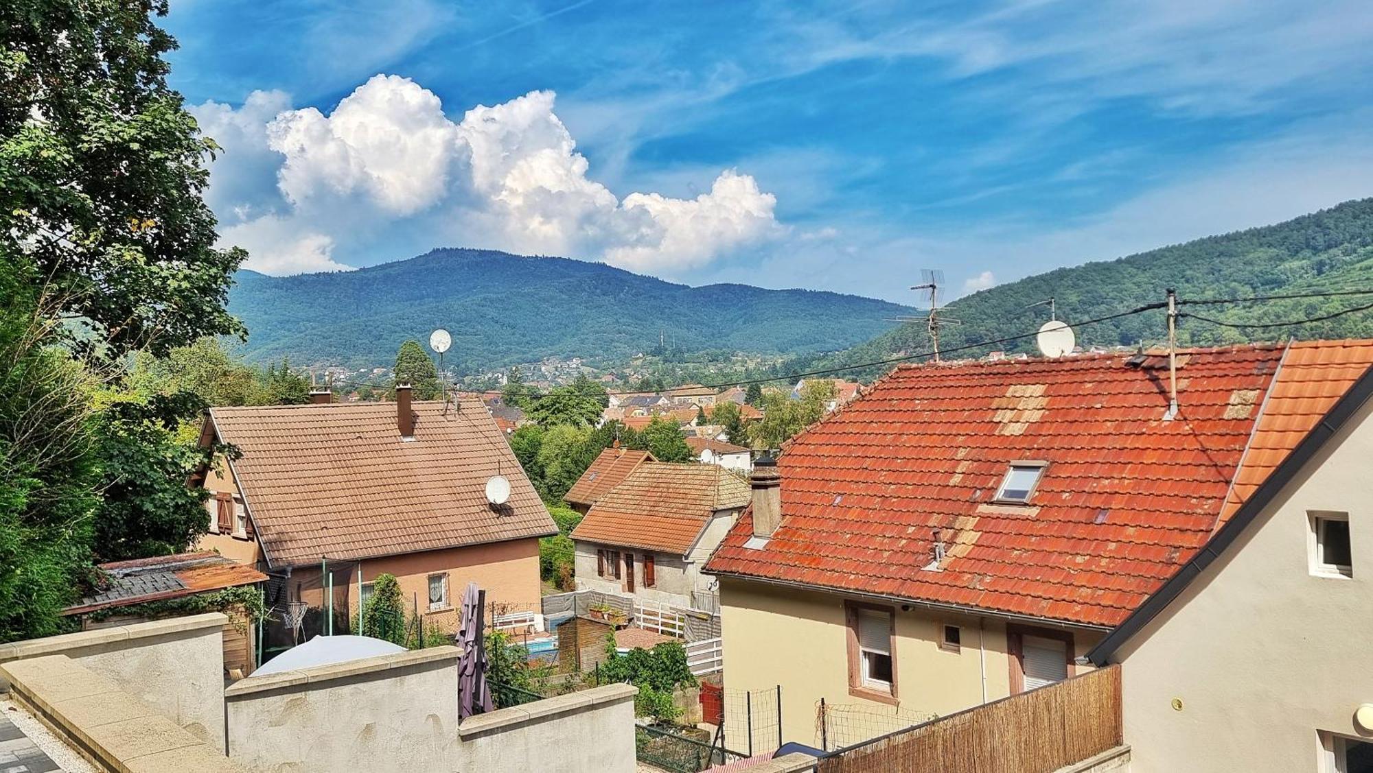 La Verte - Chic Et Moderne - Calme - Fibre - Relax Appartement