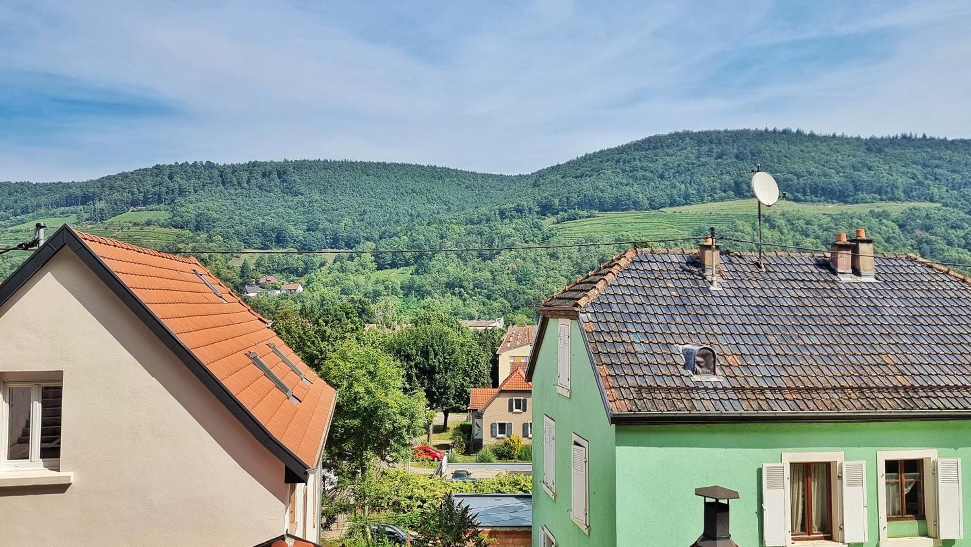 Appartement La Verte - Chic Et Moderne - Calme - Fibre - Relax