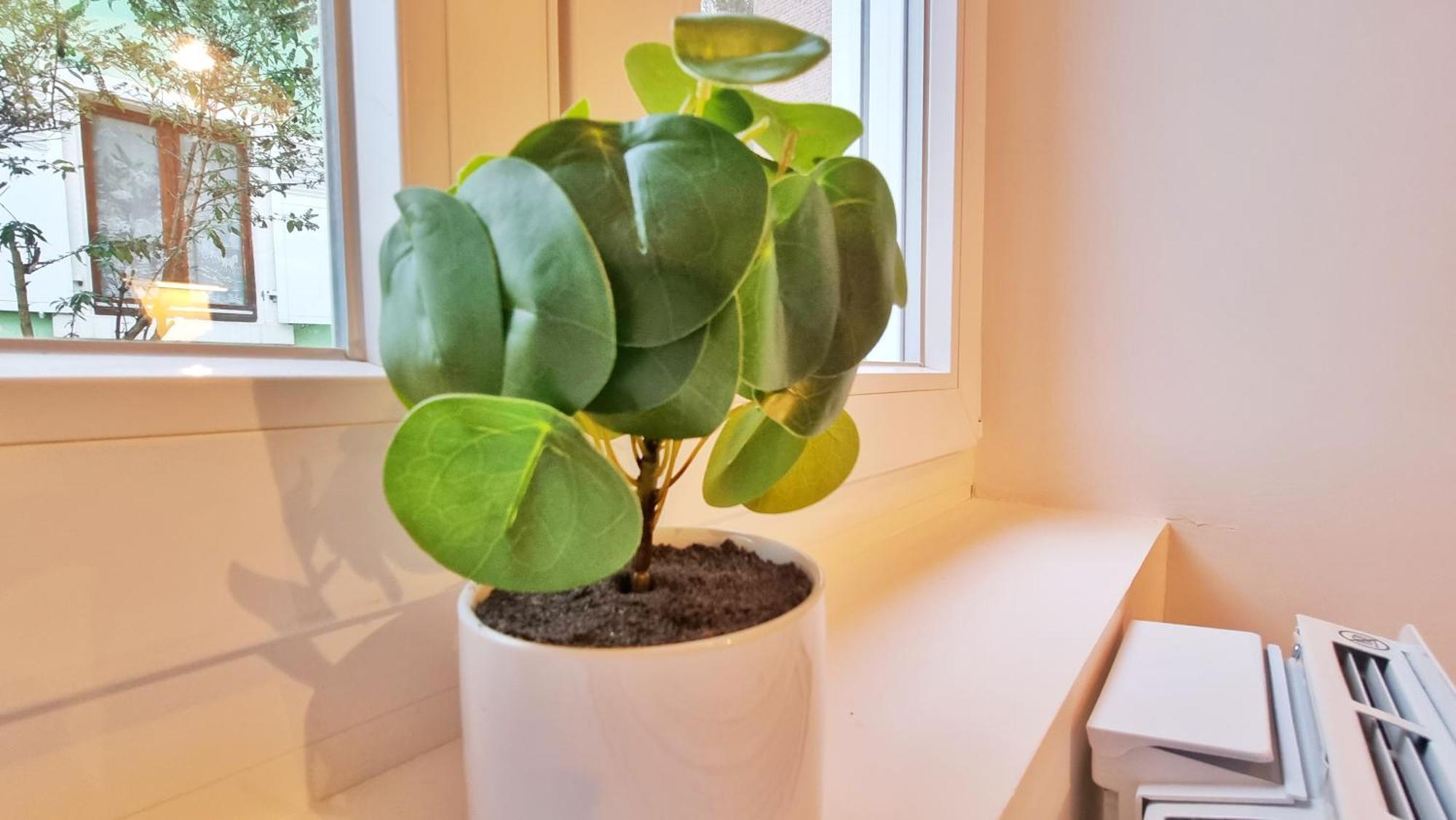 La Verte - Chic Et Moderne - Calme - Fibre - Relax Appartement *